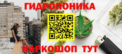 молекула духа Заволжье