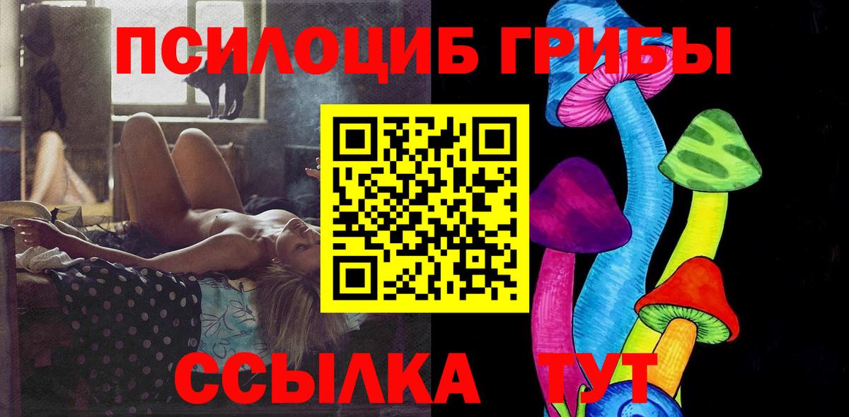 Междуреченск  как найти закладки  Галлюциногенные грибы MAGIC MUSHROOMS  Вход с VPN  Псилоцибиновые грибы Cubensis 